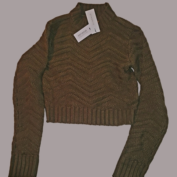 NWT dynamite knit sweater - Picture 2 of 3